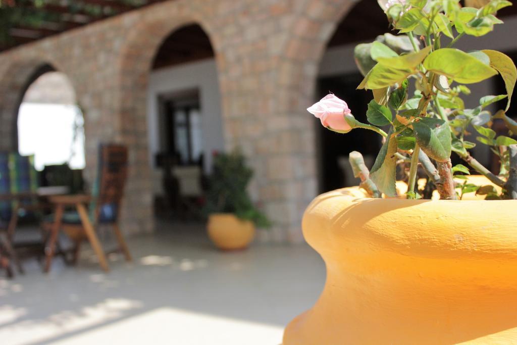 Hotel Delfini Adamantas  Buitenkant foto